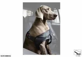 Dog harness — BMW E36 factory diagram